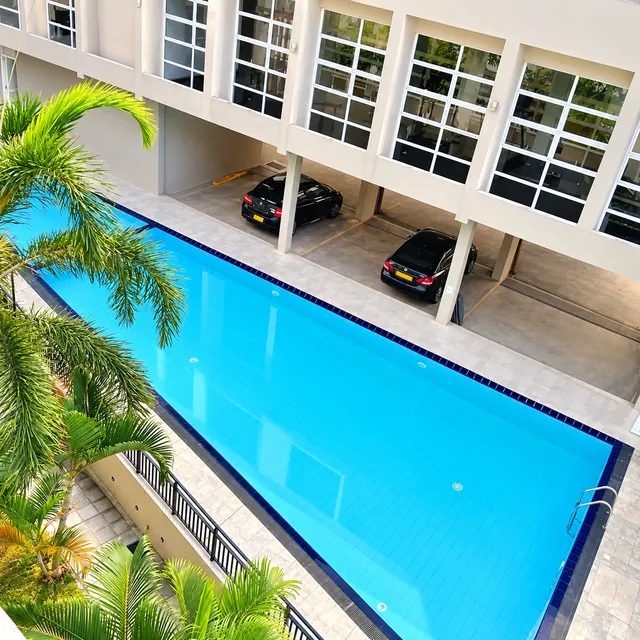 View down over the shared swimming pool and palm tree